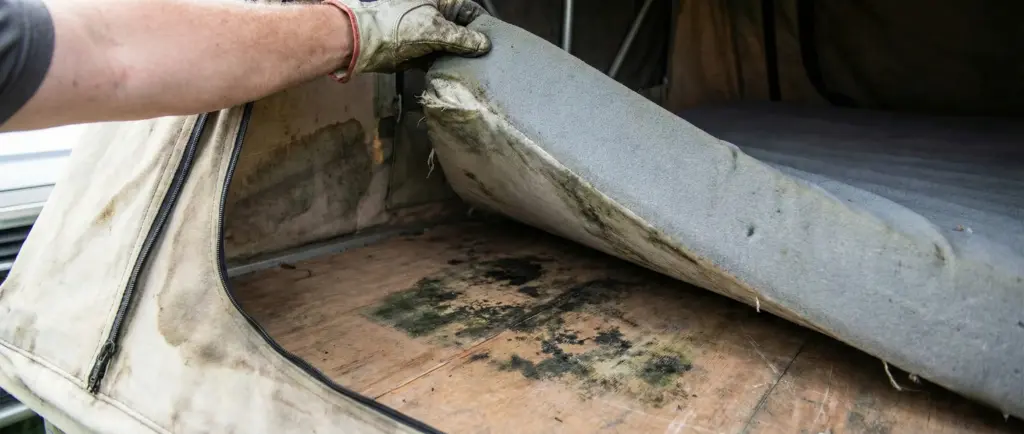 Inspection montrant des traces de moisissure noire sous le matelas d'une tente de toit d'occasion.